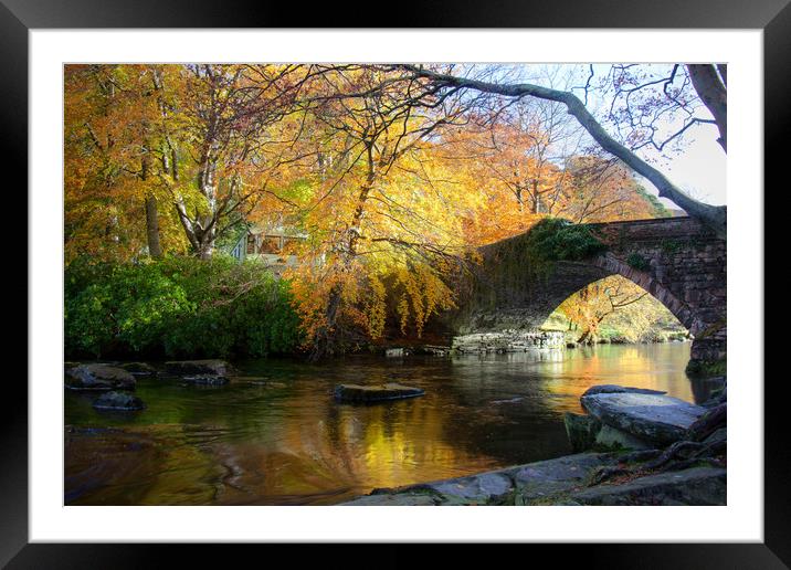 Autumn at Ogwen Bank Framed Mounted Print by Gail Johnson