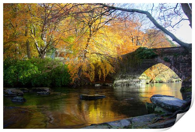 Autumn at Ogwen Bank Print by Gail Johnson