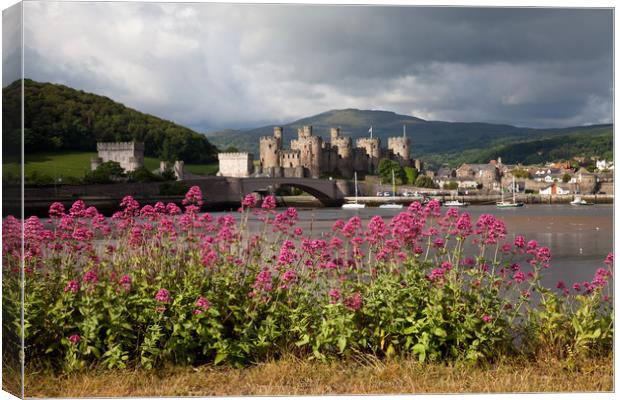 View to Conwy Canvas Print by Gail Johnson