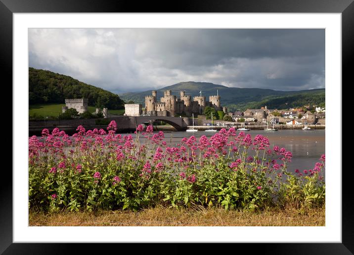 View to Conwy Framed Mounted Print by Gail Johnson
