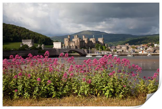 View to Conwy Print by Gail Johnson