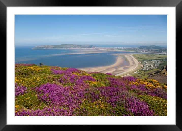 Views from Conwy Mountain Framed Mounted Print by Gail Johnson