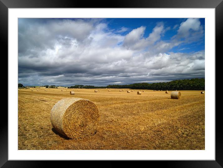  Hay Bales in South Yorkshire                      Framed Mounted Print by Darren Galpin