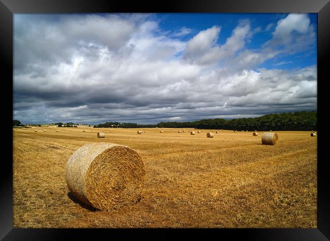  Hay Bales in South Yorkshire                      Framed Print by Darren Galpin