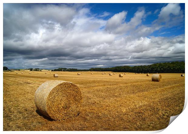  Hay Bales in South Yorkshire                      Print by Darren Galpin