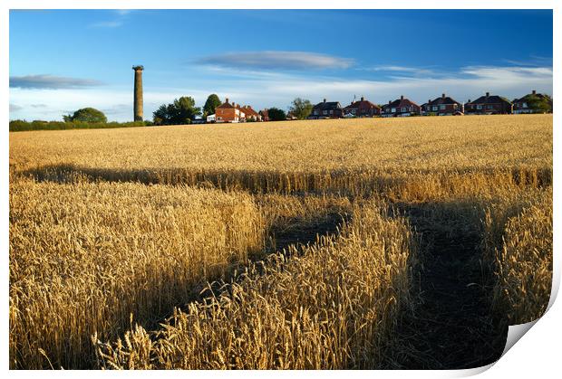 Keppels Column and Field of Wheat                  Print by Darren Galpin