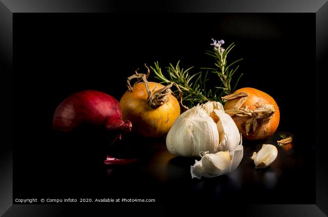 still life with onion and garlic Framed Print by Chris Willemsen