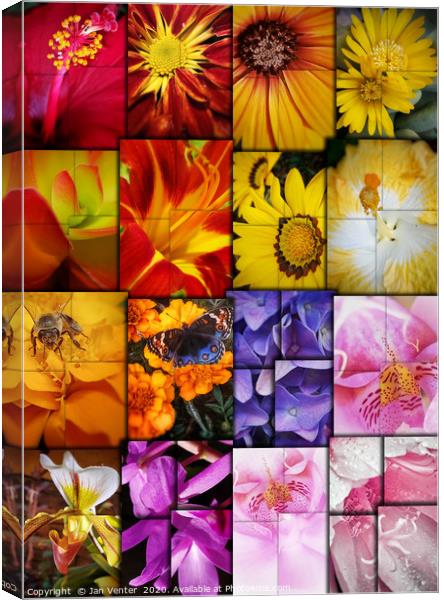 Floral Collage Canvas Print by Jan Venter