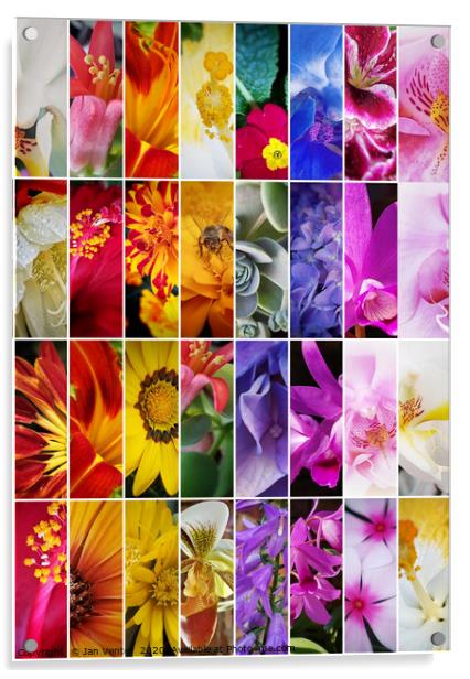 Tall colourful flower collage Acrylic by Jan Venter