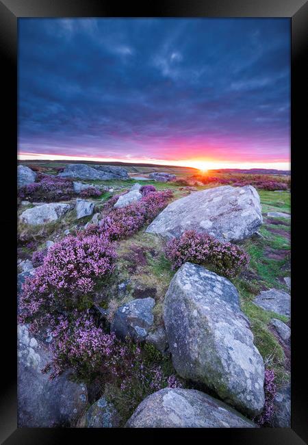 Curbar Purple Heather Sunrise, Peak District Framed Print by John Finney