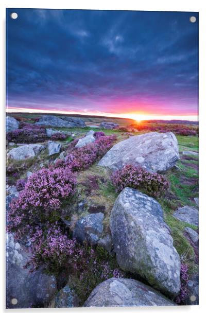 Curbar Purple Heather Sunrise, Peak District Acrylic by John Finney