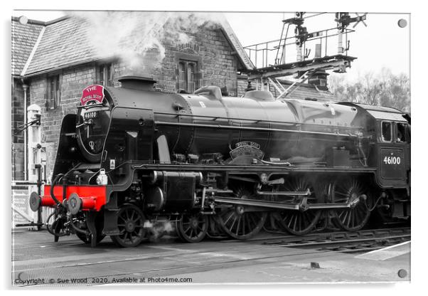 Royal steam train Acrylic by Sue Wood