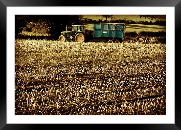 A crop well done Framed Mounted Print by S Fierros