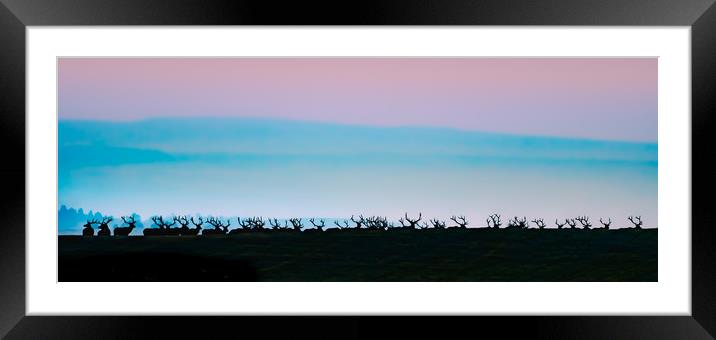 Wild Bull Elk Silhouetted Against A Rising Sun Framed Mounted Print by Gary Beeler