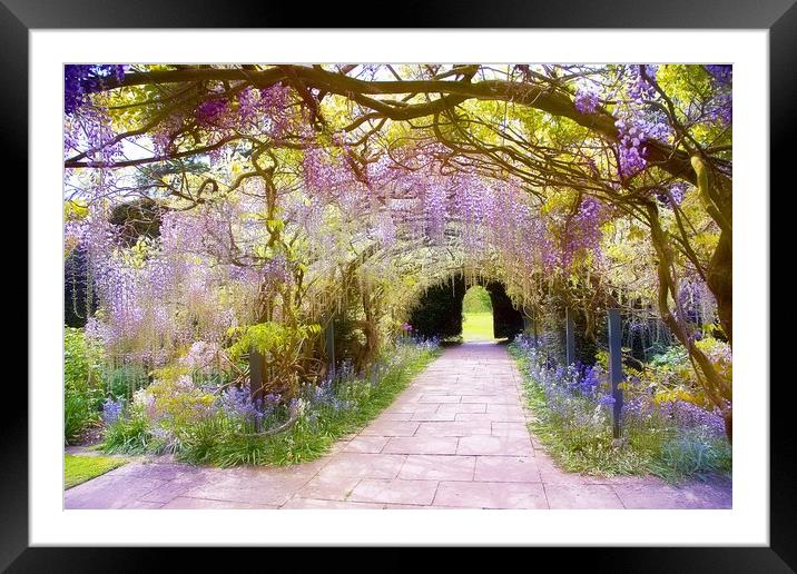 Wisteria Arch Framed Mounted Print by Catherine Joll