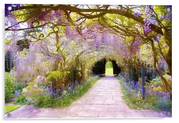 Wisteria Arch Acrylic by Catherine Joll