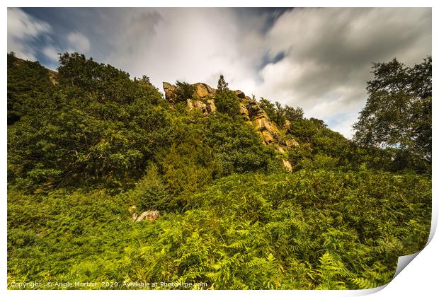  Below Rocher Head Crags Print by Angie Morton