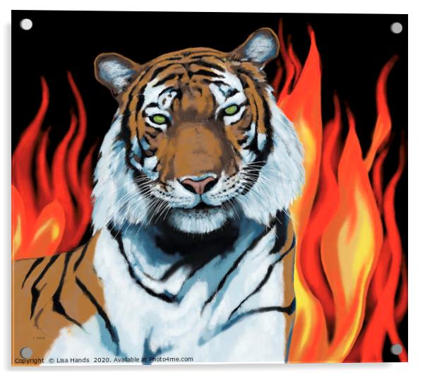 Tiger! Tiger! burning bright Acrylic by Lisa Hands