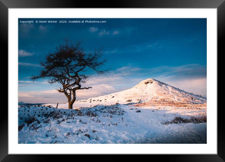 Snowy Roseberry Tree Framed Mounted Print by Kevin Winter
