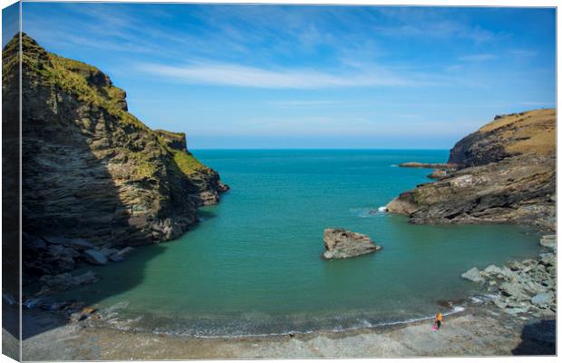 Tintagel Haven, on the Eastern side of Tintagel Canvas Print by Dave Collins