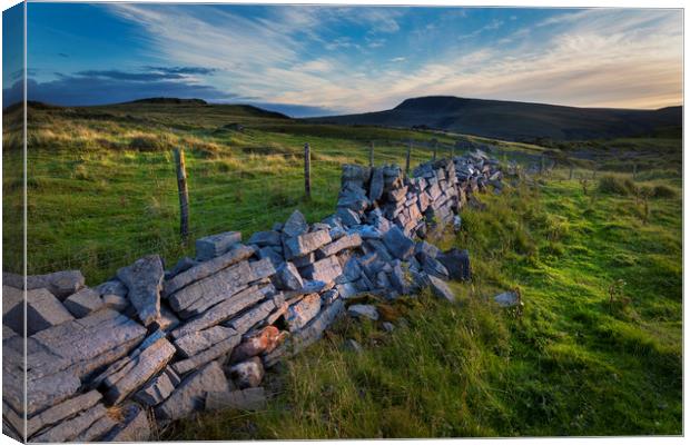 Dry stone wall in Penwyllt Canvas Print by Leighton Collins