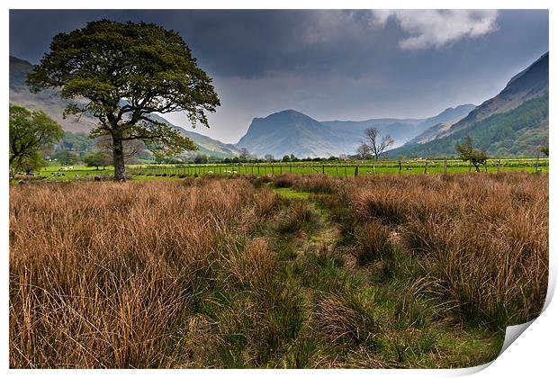 Fleetwith Pike, Buttermere Print by David Lewins (LRPS)
