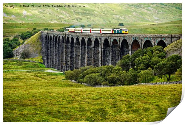 Staycation Express crossing Ribblehead viaduct Print by David Birchall