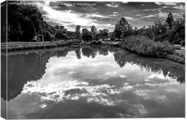 reflection    Canvas Print by Ferenc Verebélyi