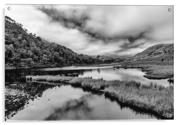 In a Highland Glen 2 Monochrome Acrylic by Robert Murray