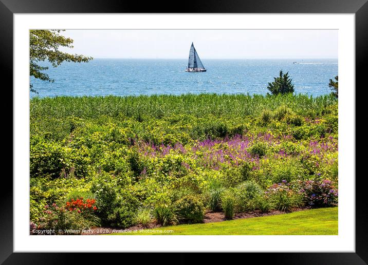 Padnaram Summer Sailboats Ocean Flowers Dartmouth  Framed Mounted Print by William Perry