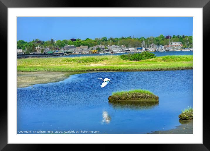 Great White Egret New Padanaram Harbor Dartmouth M Framed Mounted Print by William Perry
