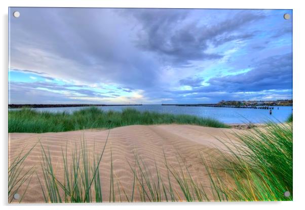 Warkworth Sand Dunes Northumberland Coast  Acrylic by David Thompson