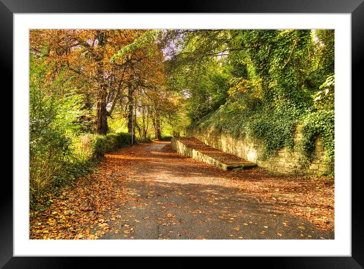 Morpeth Castle Bank Northumberland Framed Mounted Print by David Thompson