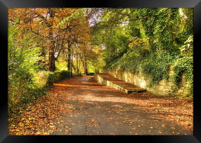 Morpeth Castle Bank Northumberland Framed Print by David Thompson