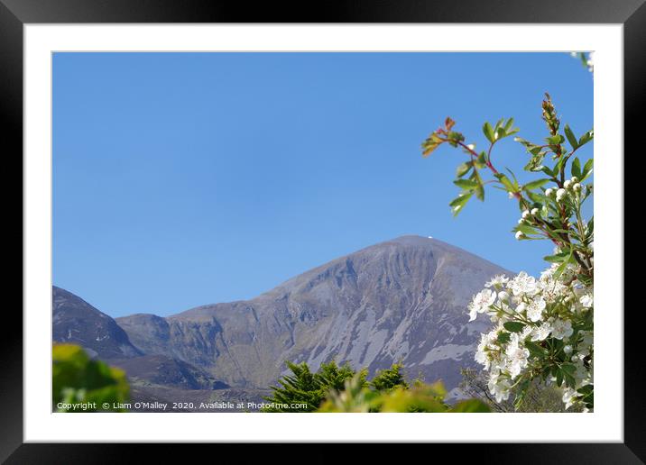 Croagh Patrick in the Summer Sun Framed Mounted Print by Liam Neon