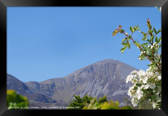 Croagh Patrick in the Summer Sun Framed Print by Liam Neon