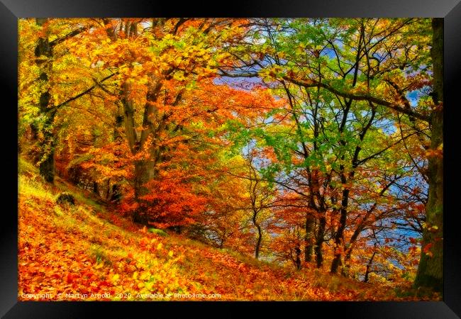 Autumn Trees on Ullswater Lake Framed Print by Martyn Arnold