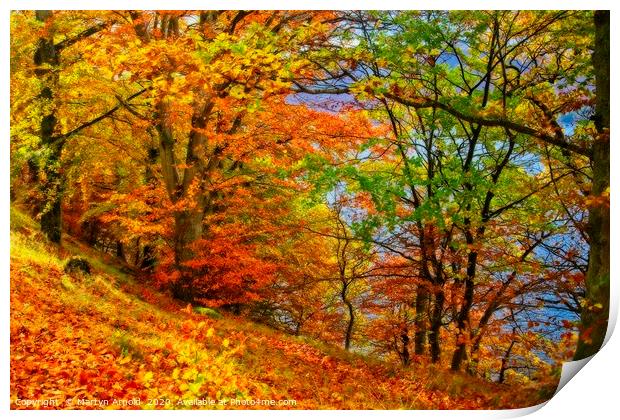 Autumn Trees on Ullswater Lake Print by Martyn Arnold