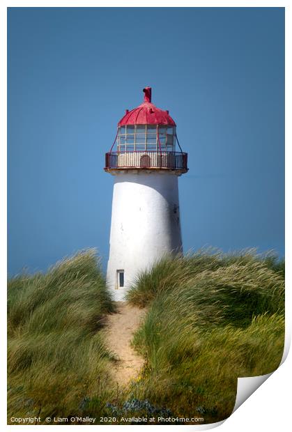 Talacre Lighthouse at the Point of Ayr Print by Liam Neon