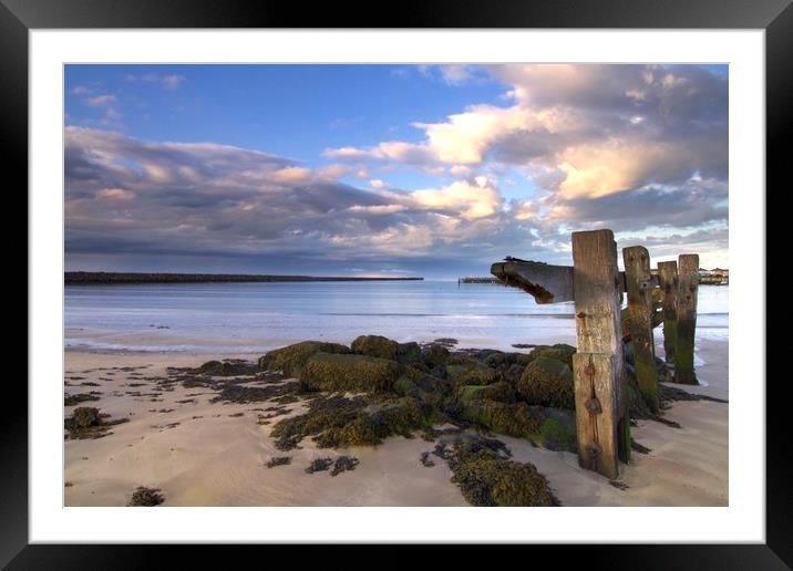 Amble Harbour Northumberland Coast  Framed Mounted Print by David Thompson
