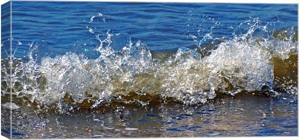 wave splash Canvas Print by Donna Collett