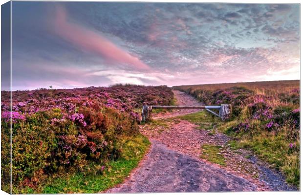 Pathway to Dunkery Beacon Exmoor Canvas Print by austin APPLEBY