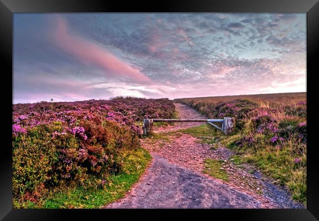 Pathway to Dunkery Beacon Exmoor Framed Print by austin APPLEBY