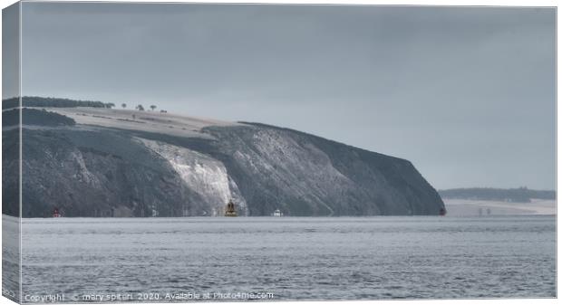 Cliffs of Chanonry Point Canvas Print by mary spiteri
