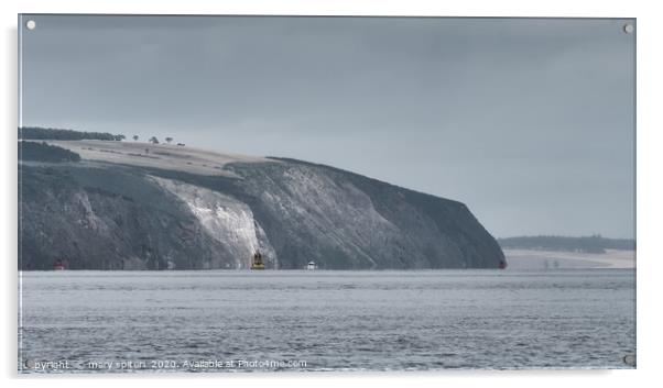 Cliffs of Chanonry Point Acrylic by mary spiteri