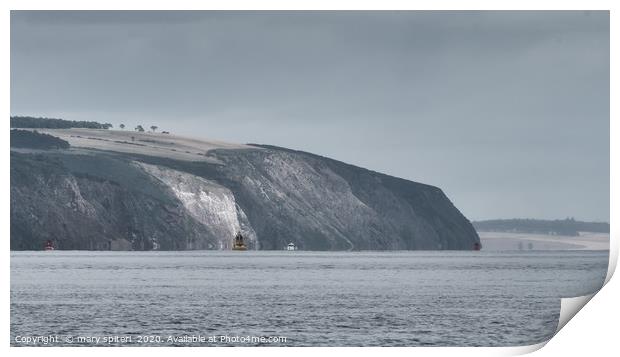 Cliffs of Chanonry Point Print by mary spiteri