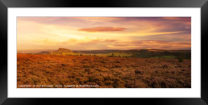 Heather Down Framed Mounted Print by richard sayer