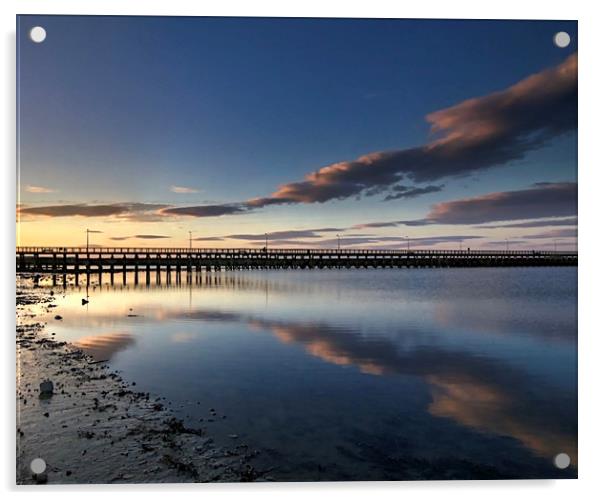 Amble Harbour Northumberland Coast  Acrylic by David Thompson