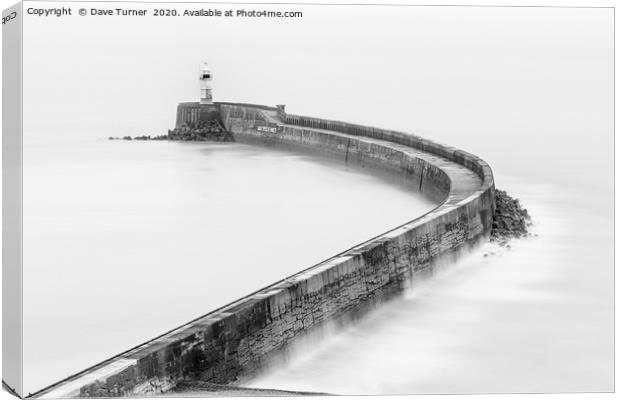 Newhaven Harbour Arm, Sussex Canvas Print by Dave Turner