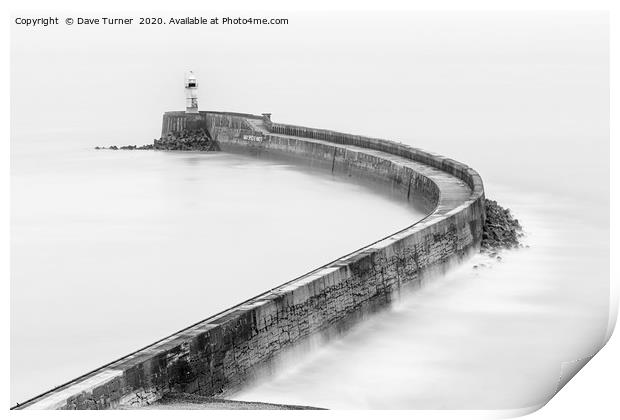 Newhaven Harbour Arm, Sussex Print by Dave Turner